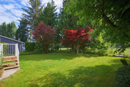 Outdoor Kitchen Photo of 5174 209a Street, Langley, BC