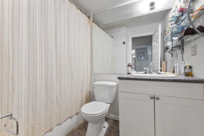 Guest Bathroom Photo of 237 1783 Agassiz-Rosedale No 9 Highway, Agassiz, BC