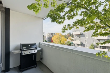 Laundry Room Photo of 501 5080 Quebec Street, Vancouver, BC