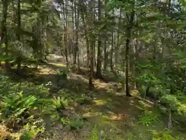 568 Aya Reach Road, Mayne Island, BC, Mayne Island —  bed land for sale