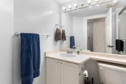 Powder Room Photo of 313 3172 Gladwin Road, Abbotsford, BC