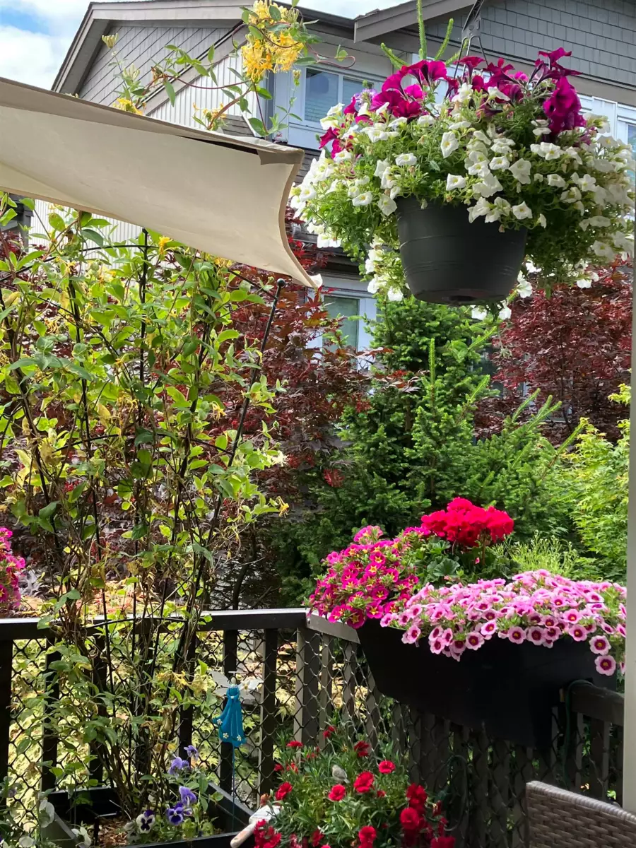 Basement Recreation Room Photo of 61 8250 209b Street, Langley, BC