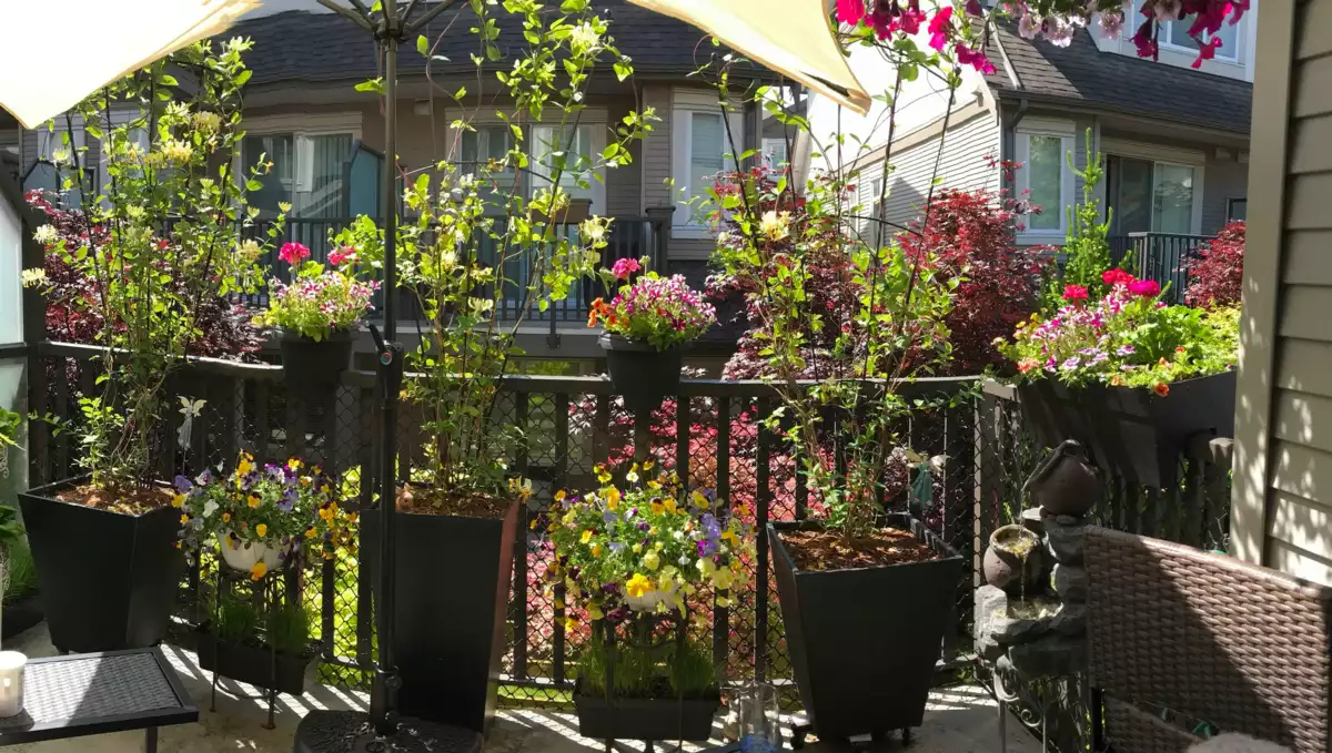 Entry Foyer Photo of 61 8250 209b Street, Langley, BC