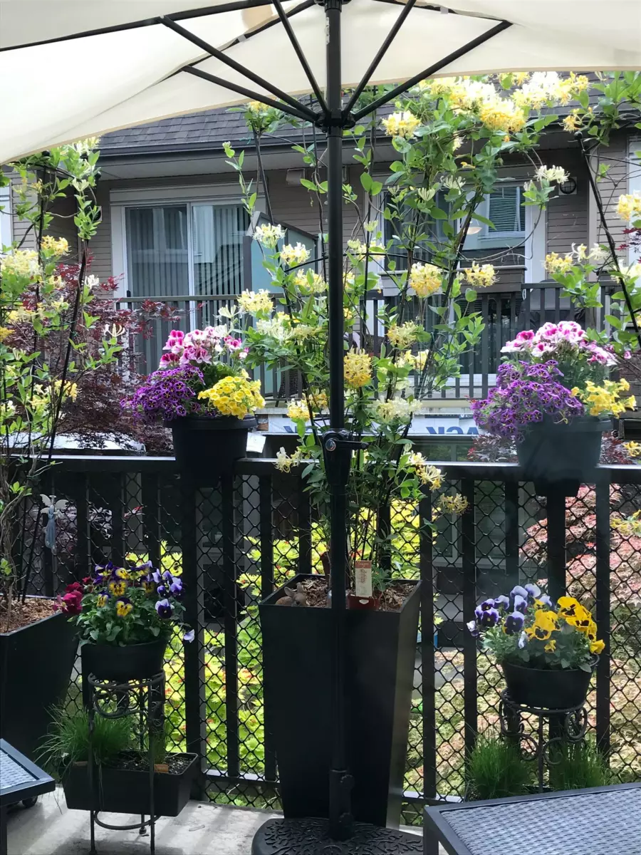 Laundry Room Photo of 61 8250 209b Street, Langley, BC