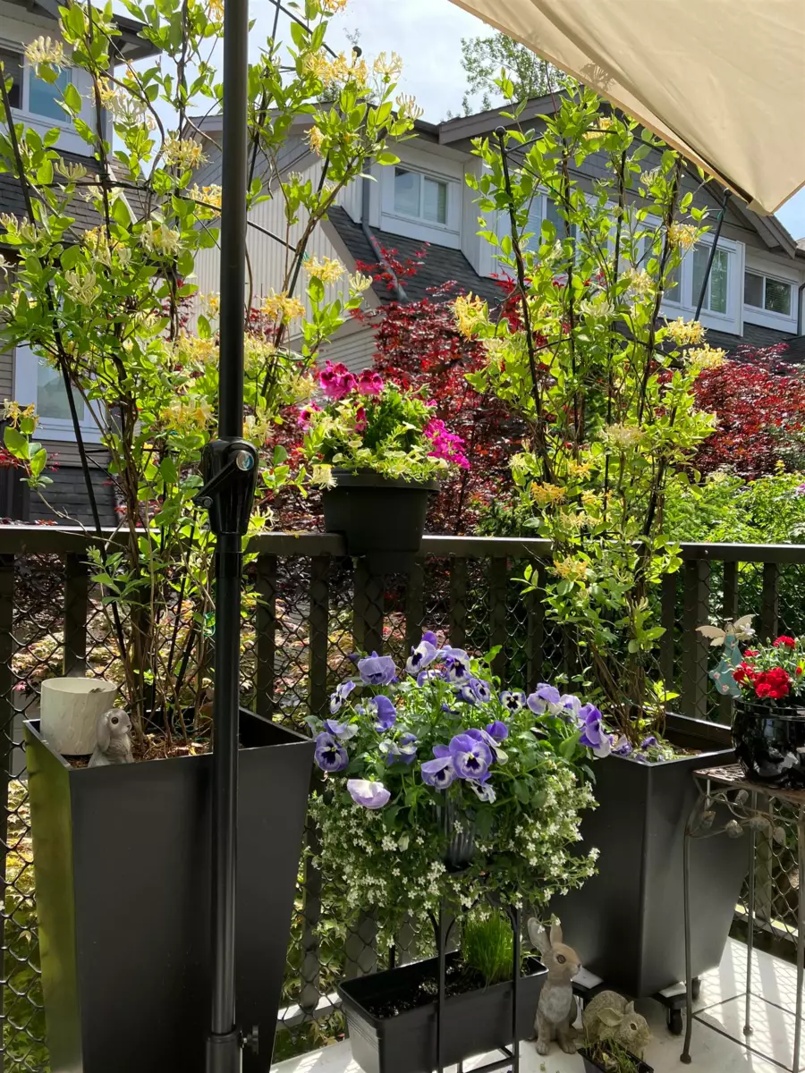 Mudroom Photo of 61 8250 209b Street, Langley, BC