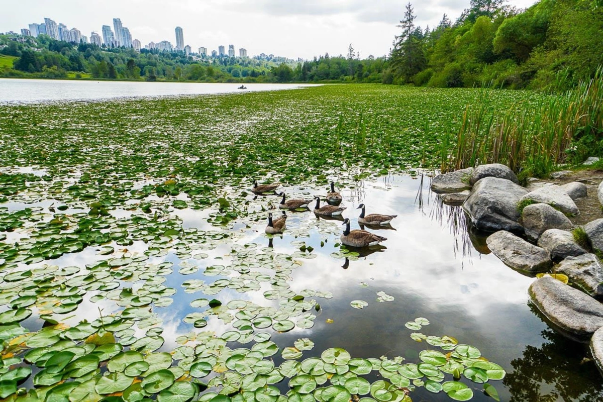 Aerial View of 5853 Mayview Circle, Burnaby, BC