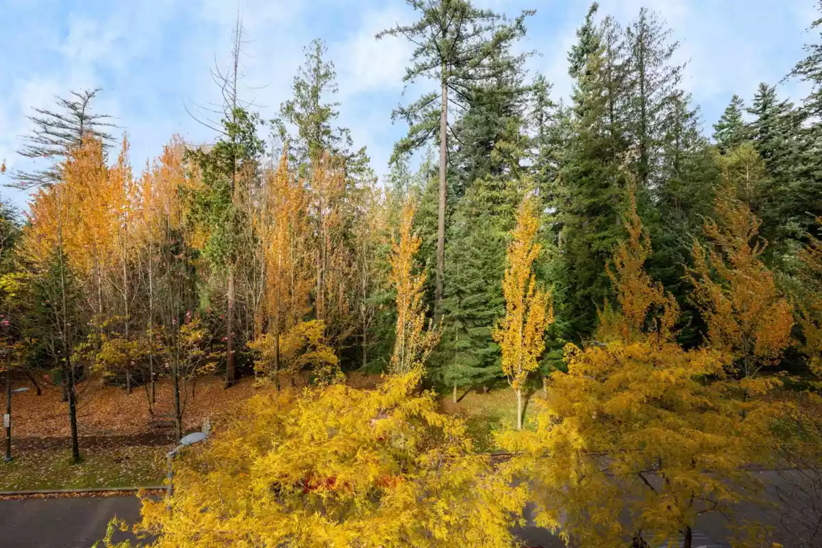 Outdoor Patio Photo of 403 5838 Berton Avenue, Vancouver, BC