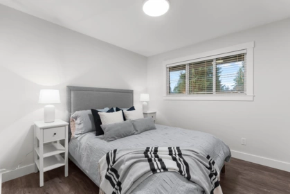 Aerial View of 20060 43a Avenue, Langley, BC