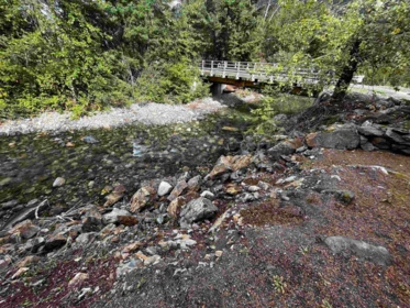 Garden / Landscaping Photo of 9 71860 Sumallo Road, Sunshine Valley, BC