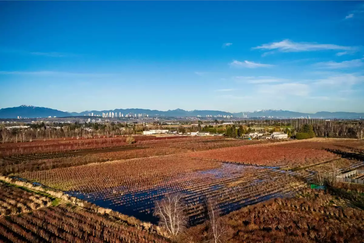 Swimming Pool Photo of 13371 Blundell Road, Richmond, BC
