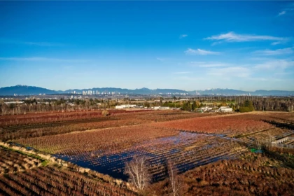 Swimming Pool Photo of 13371 Blundell Road, Richmond, BC