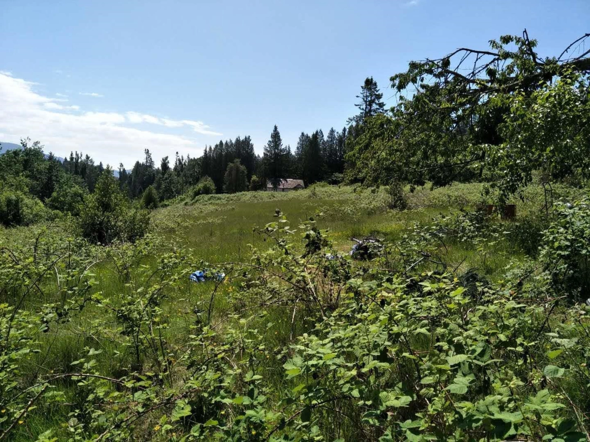 Living Room Photo of 8980 Edwards Street, Mission, BC