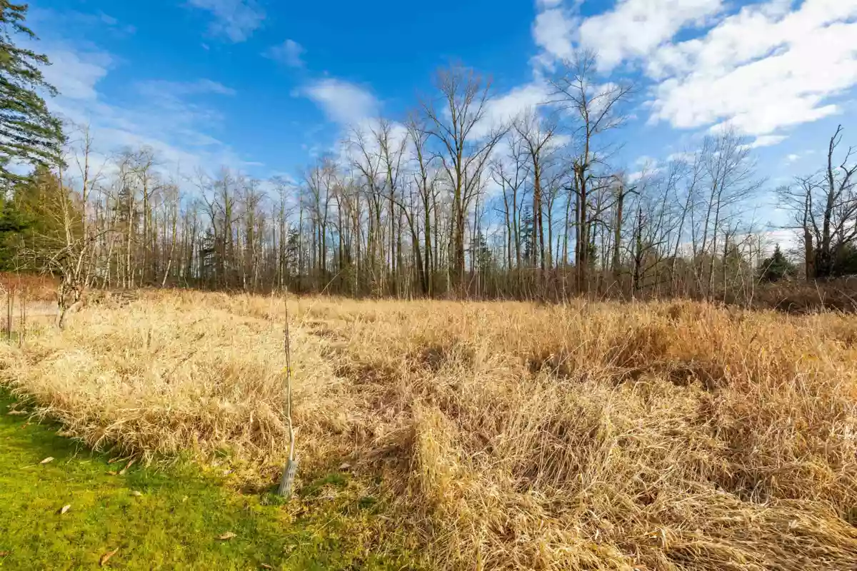 Bedroom 2 Photo of 7380 198b Street, Langley, BC