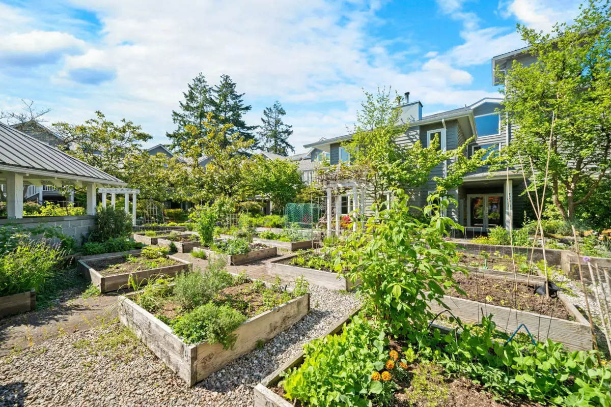 Front Yard Photo of 203 1538 Bowser Avenue, North Vancouver, BC