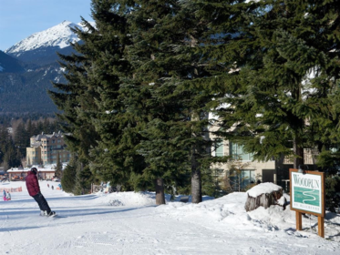 Garden / Landscaping Photo of 409 4910 Spearhead Place, Whistler, BC