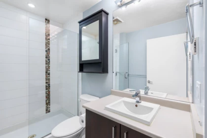 Laundry Room Photo of 318 20460 Douglas Crescent, Langley, BC