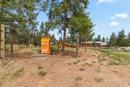 Outdoor Patio Photo of 199 Old Black Mine Road, No City Value, BC