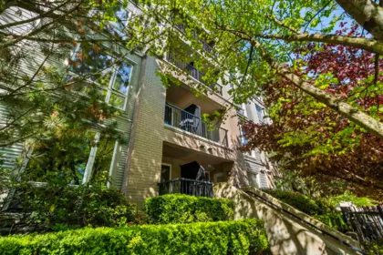 Swimming Pool Photo of 203 13321 102a Avenue, Surrey, BC