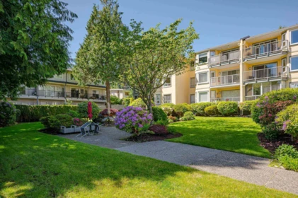 Outdoor Kitchen Photo of 205 1459 Blackwood Street, White Rock, BC