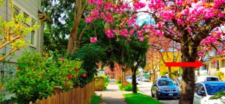 Garden / Landscaping Photo of 1745 Graveley Street, Vancouver, BC