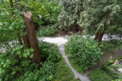 Backyard Photo of 309 3533 Ross Drive, Vancouver, BC