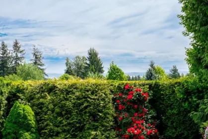Garden / Landscaping Photo of 33090 Best Avenue, Mission, BC