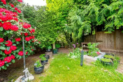 Outdoor Kitchen Photo of 33090 Best Avenue, Mission, BC