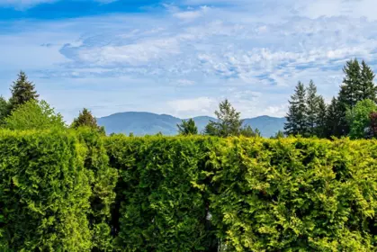 Swimming Pool Photo of 33090 Best Avenue, Mission, BC