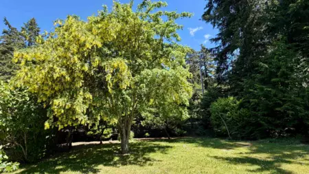 Street View Photo of 2659 Schooner Way, Pender Island, BC