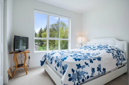 Aerial View of 154 24951 112 Avenue, Maple Ridge, BC