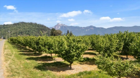 4602 Hunt Road, Agassiz, BC, Agassiz — Land for sale