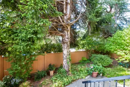 Staircase Photo of 119 1442 Blackwood Street, White Rock, BC