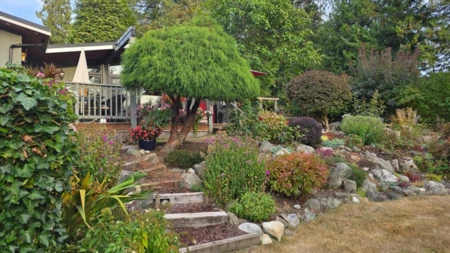 Front Yard Photo of 24071 63 Avenue, Langley, BC