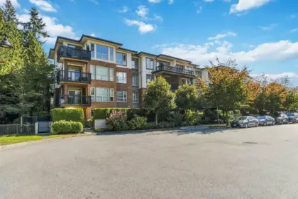 Backyard Photo of 105 1153 Kensal Place, Coquitlam, BC