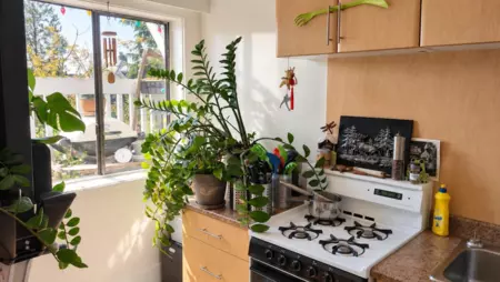1951 Napier Street, Vancouver, BC, Vancouver — Single Family Residence for sale