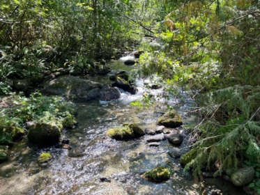 19 19743 Foster Road, Hope, BC, Hope —  bed land for sale