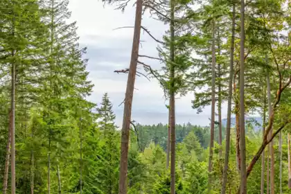 2-861 E Bluff Road, Galiano Island, BC, Galiano Island —  bed land for sale