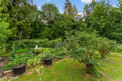 Backyard Photo of 34821 Ferndale Avenue, Mission, BC