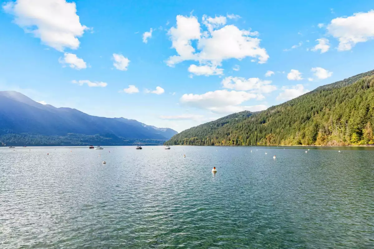 Garage Interior Photo of 279 Fir Street, Chilliwack, BC