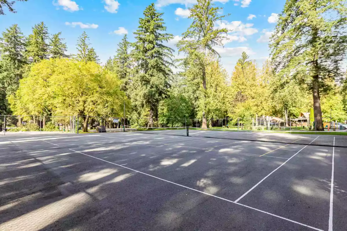 Swimming Pool Photo of 279 Fir Street, Chilliwack, BC