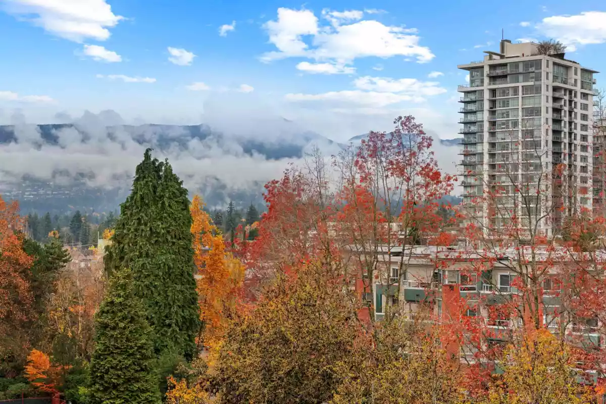 Neighborhood Park Photo Near 801 114 W Keith Road, North Vancouver, BC
