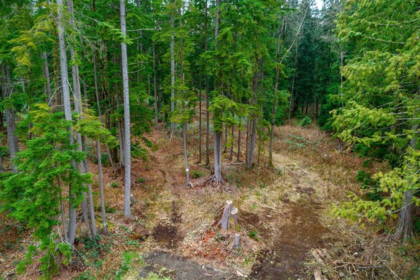 Fitness Center Photo Near 29809 Dewdney Trunk Road, Mission, BC