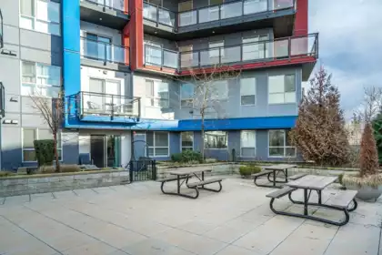 Swimming Pool Photo of 120 5486 199a Street, Langley, BC