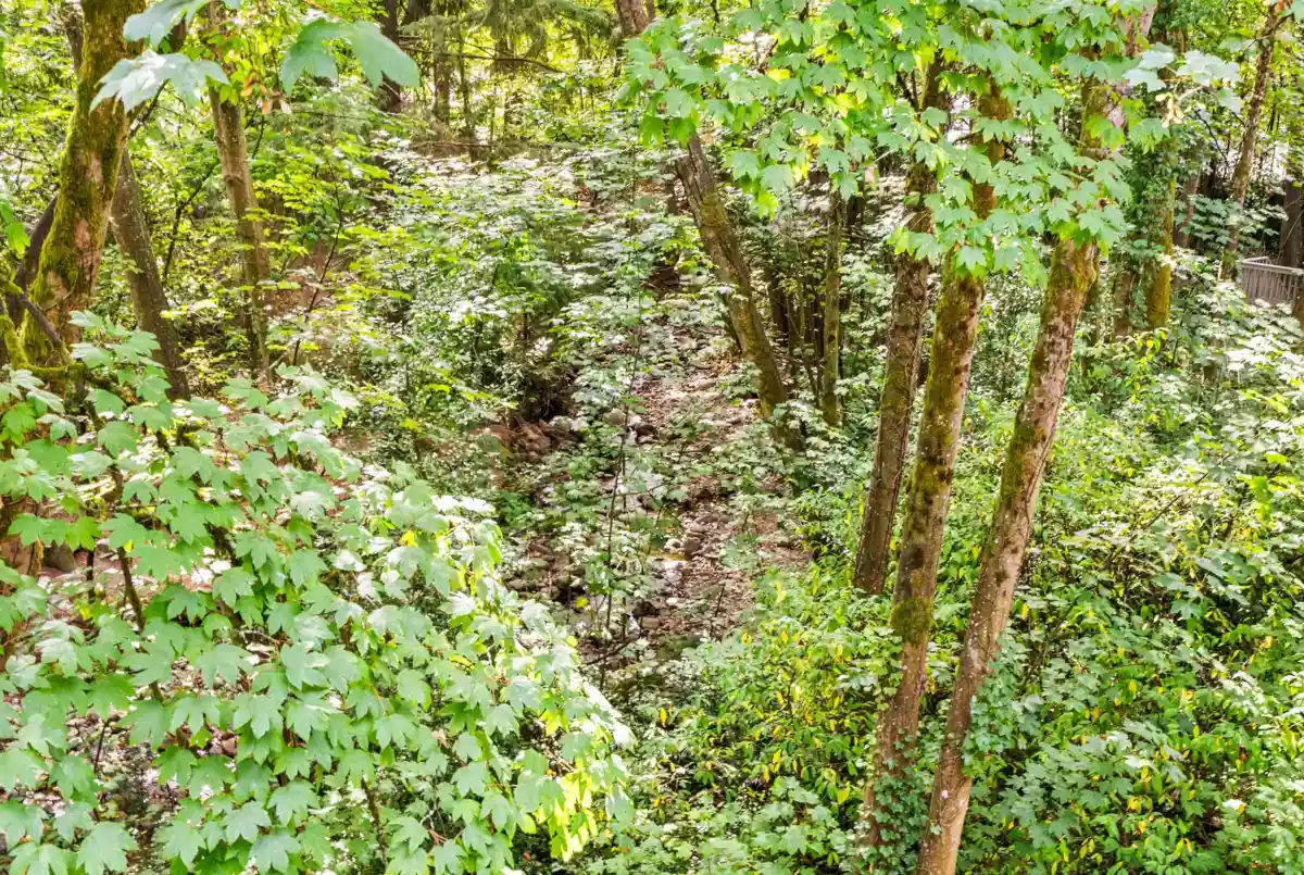 Kitchen Photo of 3192 Mountain Highway, North Vancouver, BC