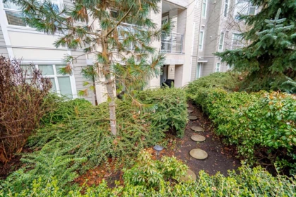 Outdoor Deck Photo of 108 15436 31 Avenue, Surrey, BC