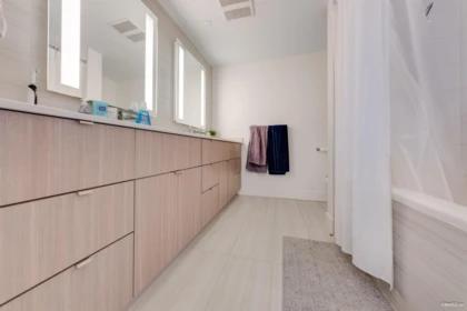Walk-In Closet Photo of 1507 1788 Columbia Street, Vancouver, BC