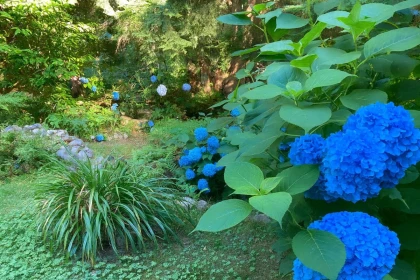Hot Tub / Spa Photo of 26 Brighton Beach, North Vancouver, BC