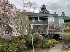 205 1122 King Albert Avenue, Coquitlam, BC