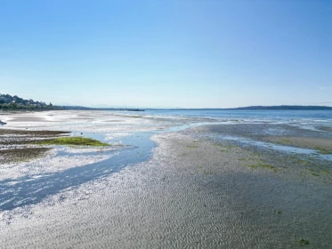 Aerial View of 14495 Marine Drive, White Rock, BC