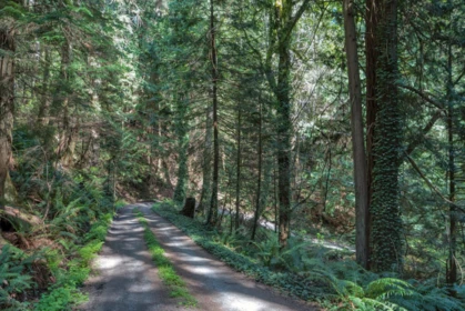 Street View Photo of 1905 Lower Road, Roberts Creek, BC